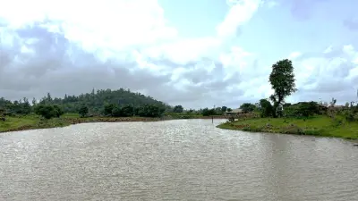Renovation of Percolation Tanks & Check Dams
